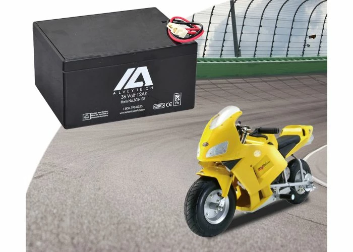 Coupon 🔥 AlveyTech 36 Volt Battery For Minimoto ATV, Go Kart, Jeep Dune Buggy, Maxii, & Motocross XRF500 🔥 8 Coupon 🔥 AlveyTech 36 Volt Battery For Minimoto ATV, Go Kart, Jeep Dune Buggy, Maxii, & Motocross XRF500 🔥 - Image 6